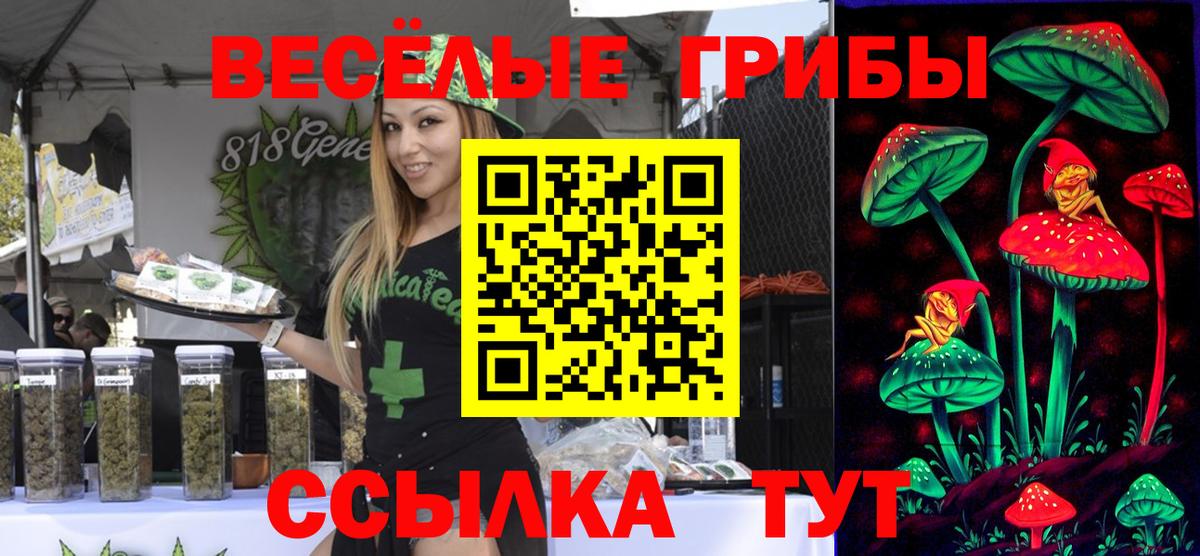 Псилоцибиновые грибы Psilocybine cubensis Старая Купавна