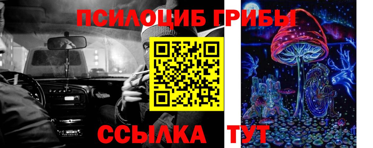 Галлюциногенные грибы Psilocybe  Вход с VPN  Старая Купавна  Псилоцибиновые грибы Cubensis 