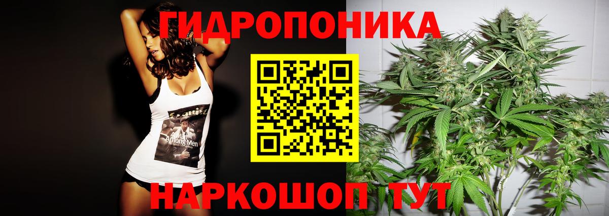 Бошки марихуана THC 21% Старая Купавна
